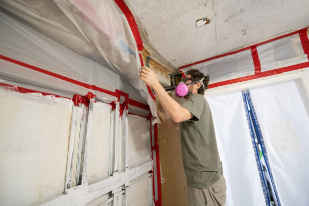 Mold Remediation for Vacation Homes in Green Village, NJ